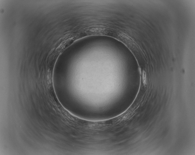 X0000067521107200604101319