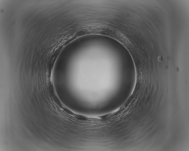 X0000067521108200604101319