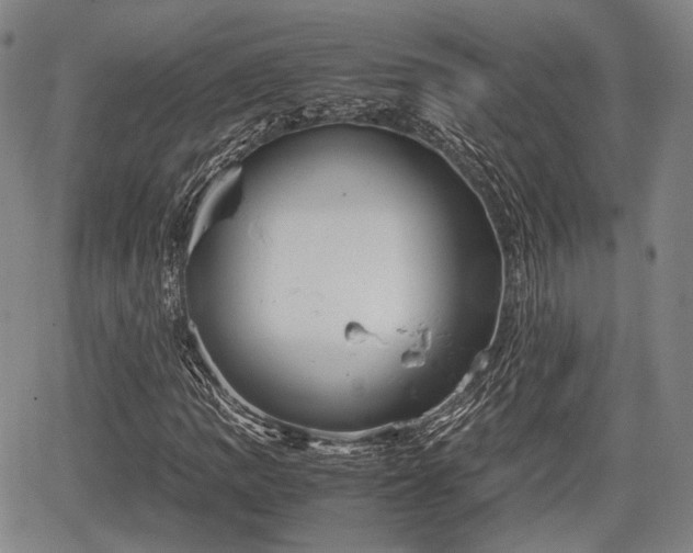 X0000067521109200604101319