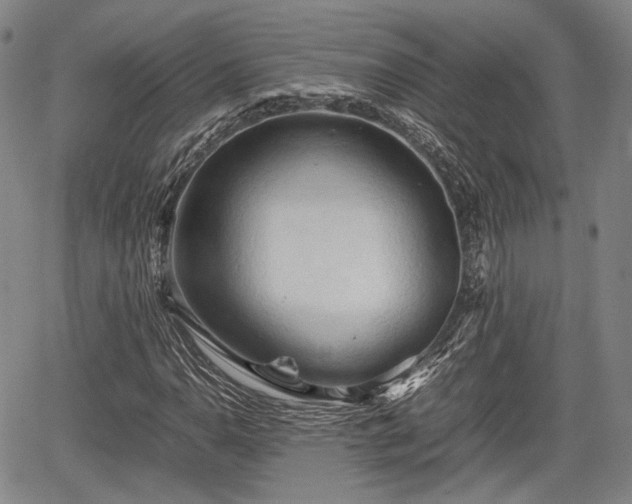 X0000067521110200604101319