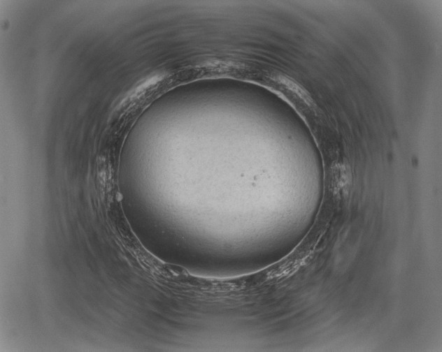 X0000067521111200604101319