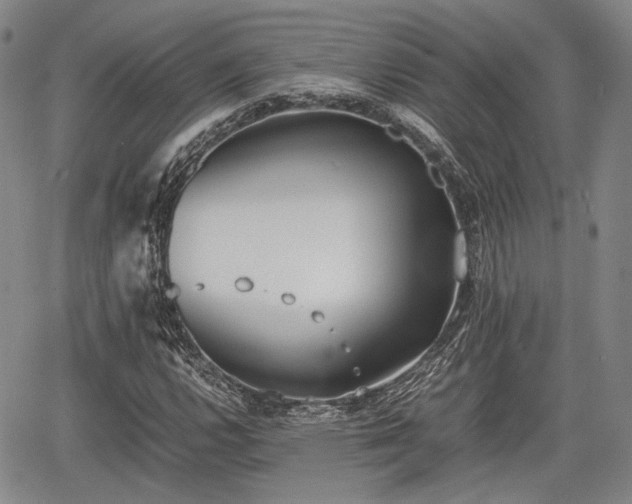 X0000067521112200604101319