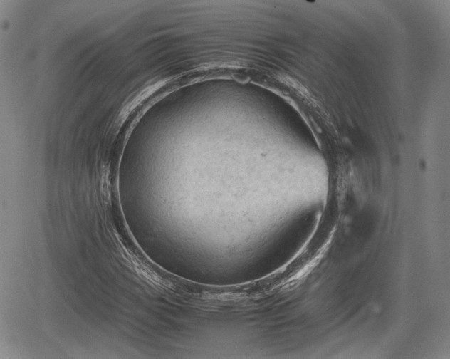 X0000067521113200604101319