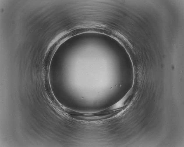 X0000067521114200604101319