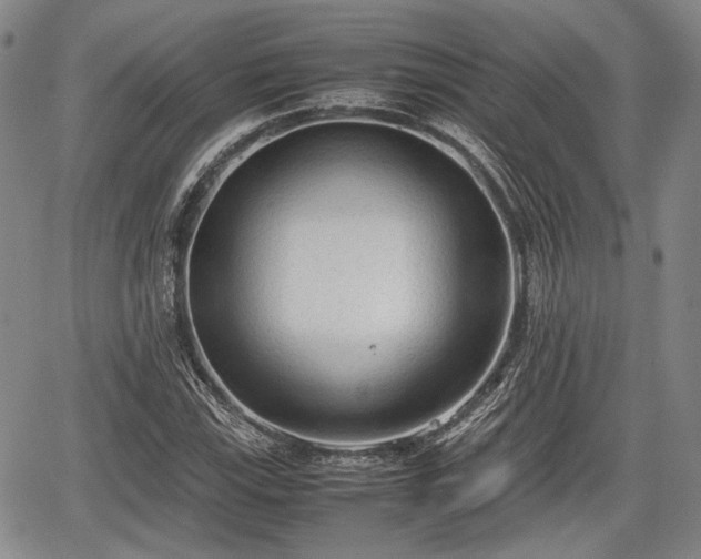 X0000067521115200604101319