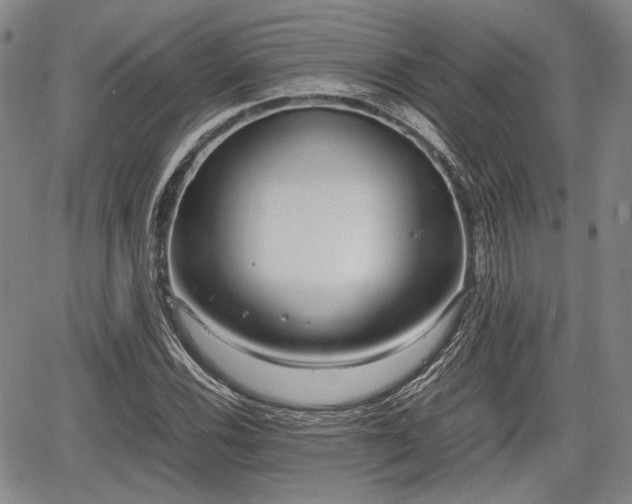 X0000067521116200604101319