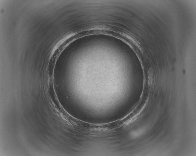 X0000067521117200604101319