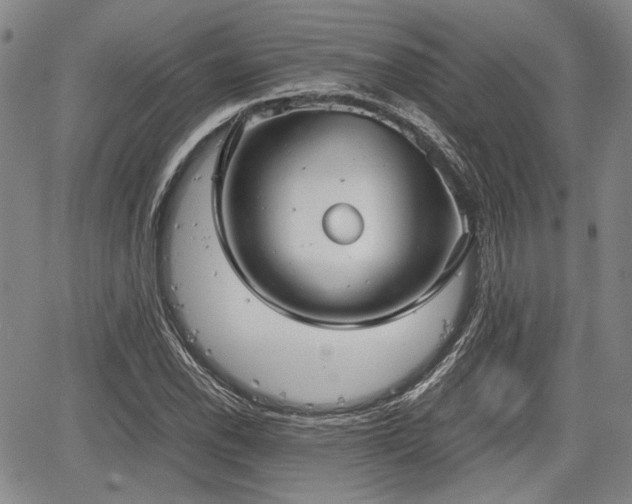 X0000067521118200604101319