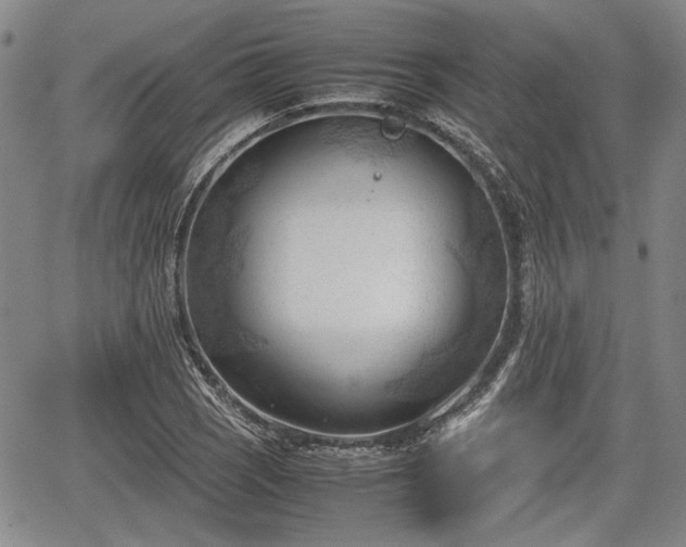 X0000067521121200604101319