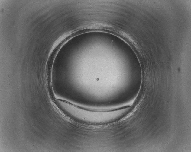 X0000067521122200604101319