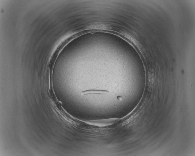 X0000067521123200604101319