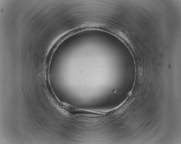 X0000067521124200604101320