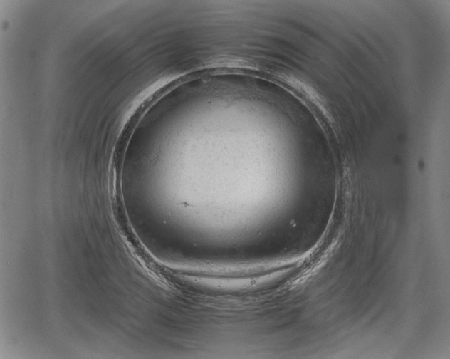 X0000067521125200604101320