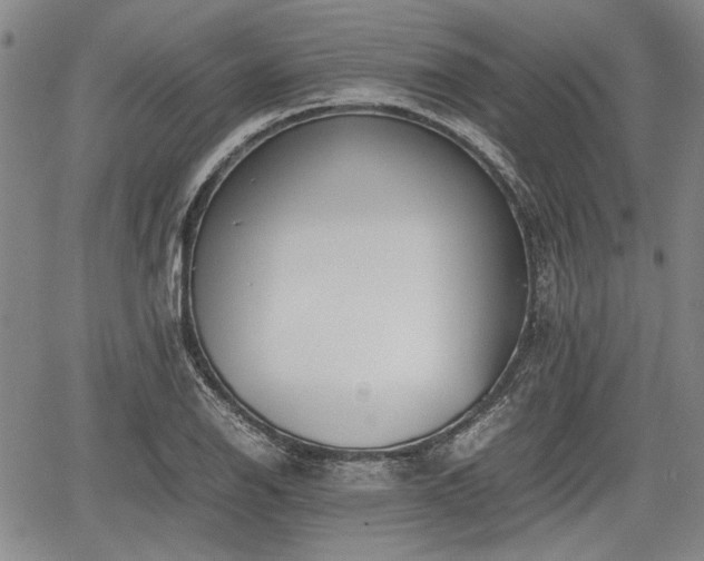 X0000067521126200604101320