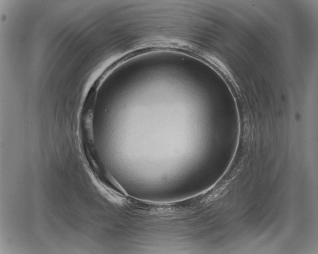 X0000067521128200604101320