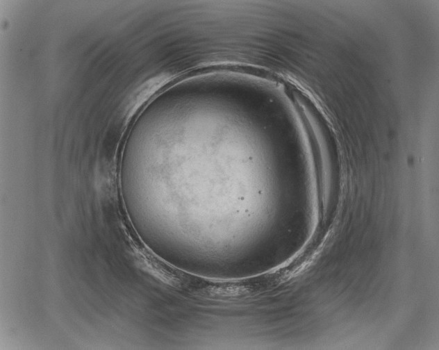 X0000067521129200604101320