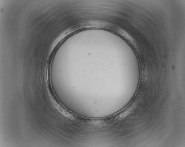 X0000067521130200604101320