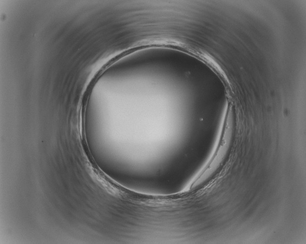 X0000067521132200604101320