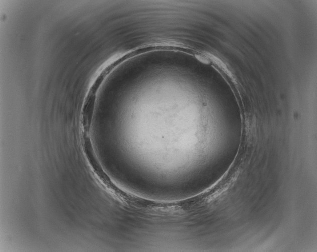 X0000067521133200604101320