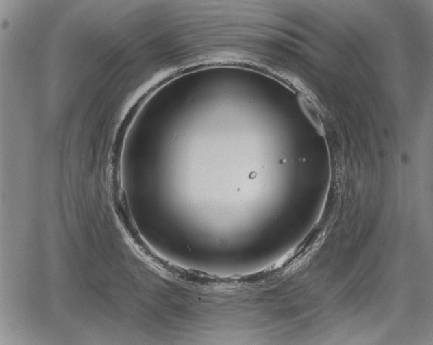 X0000067521134200604101320