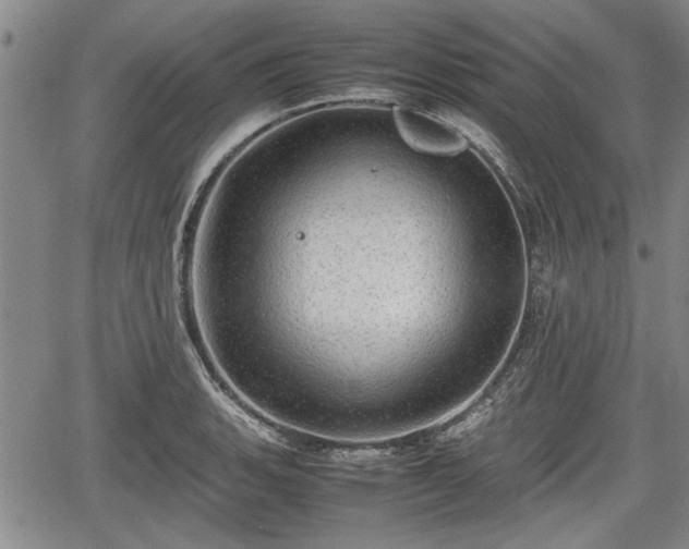 X0000067521135200604101320