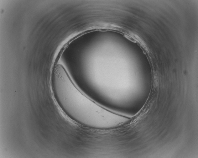 X0000067521136200604101320