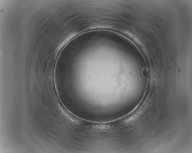 X0000067521137200604101320