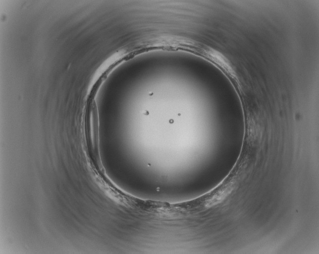 X0000067521138200604101320