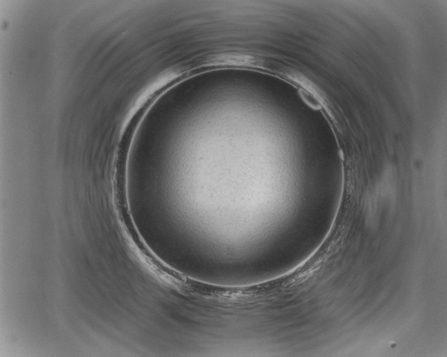 X0000067521139200604101320