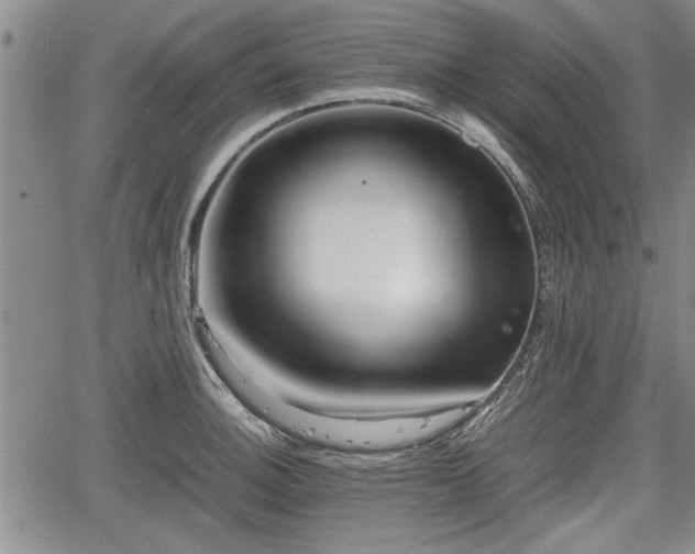 X0000067521140200604101320