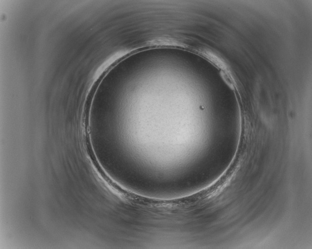 X0000067521141200604101320