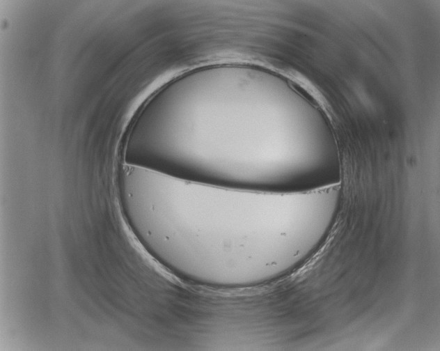 X0000067521142200604101320