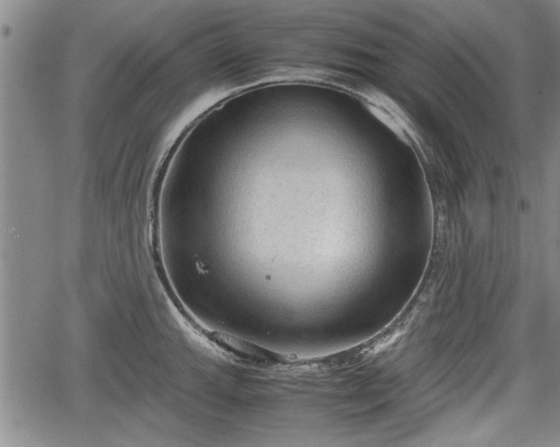 X0000067521143200604101320