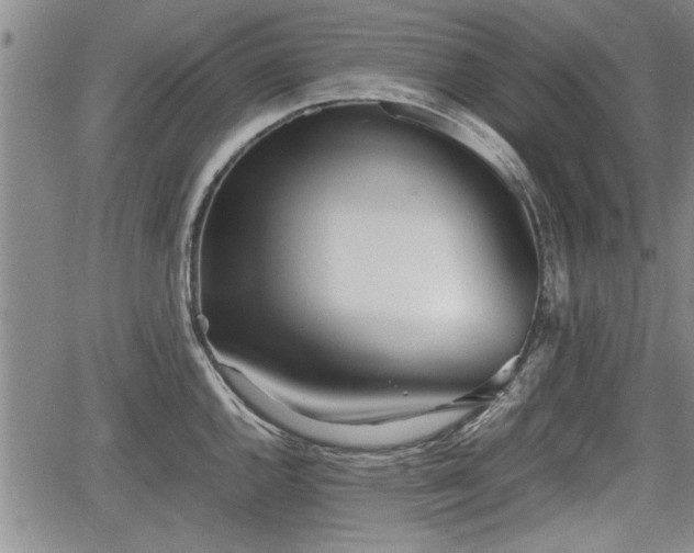 X0000067521144200604101320