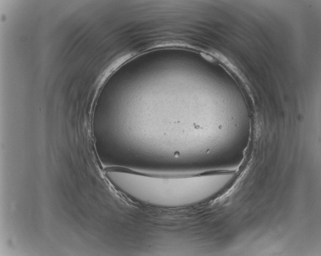 X0000067521145200604101320