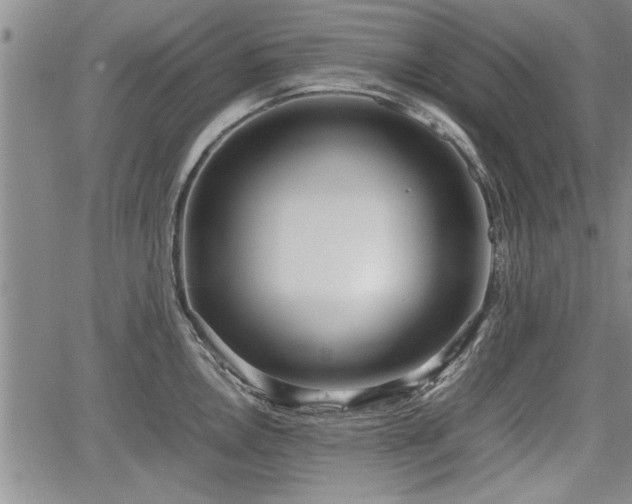 X0000067521146200604101320