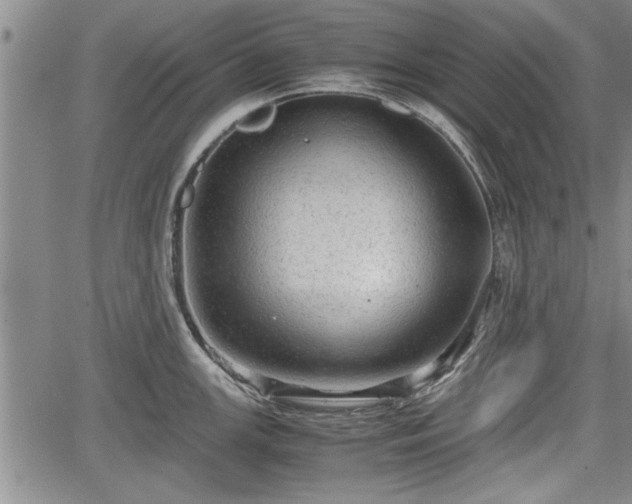 X0000067521147200604101320