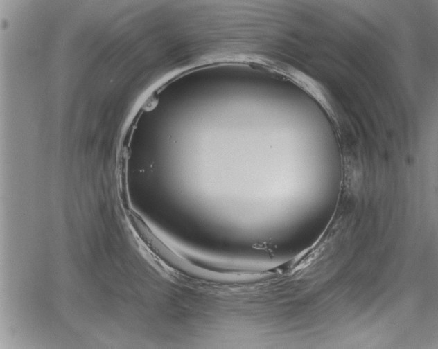 X0000067521148200604101320