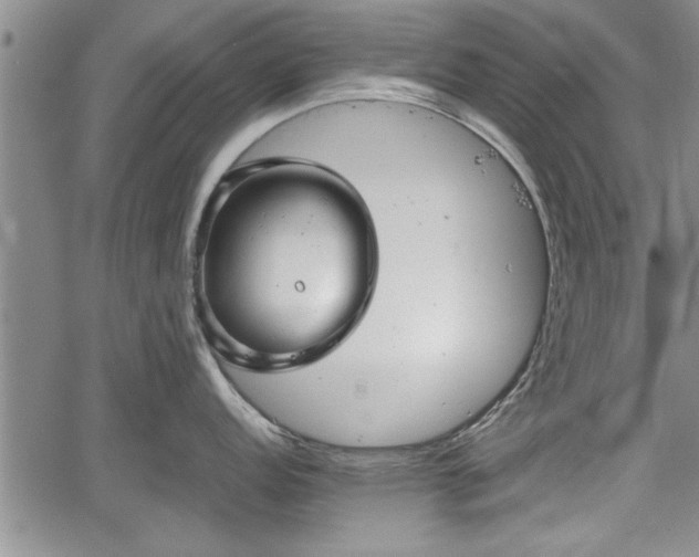 X0000067521152200604101320