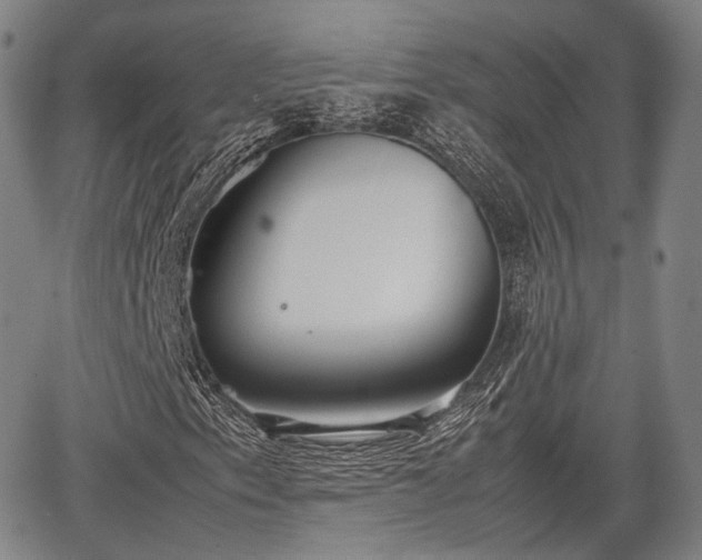 X0000067521153200604101319