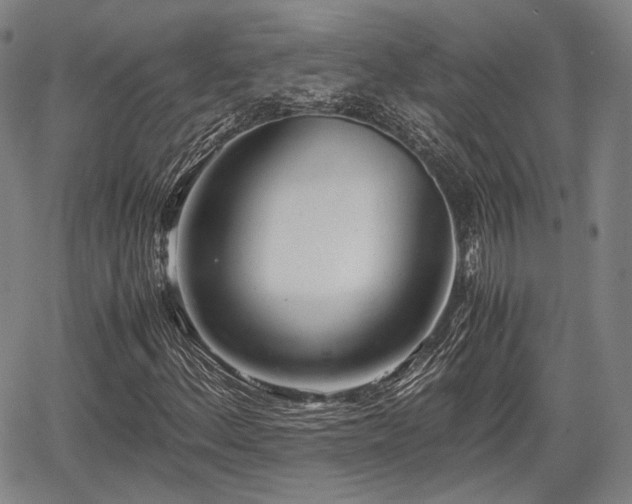 X0000067521156200604101319