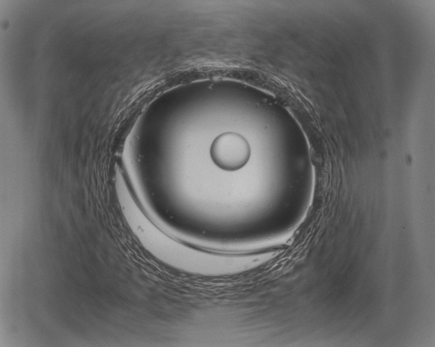 X0000067521157200604101319