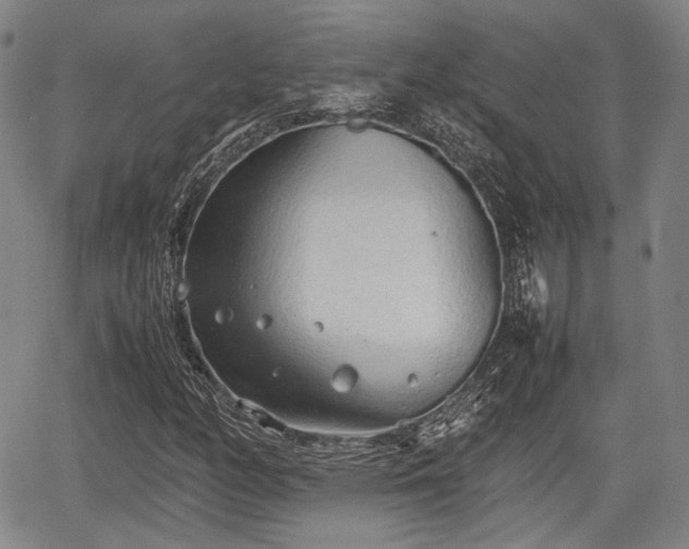 X0000067521158200604101319