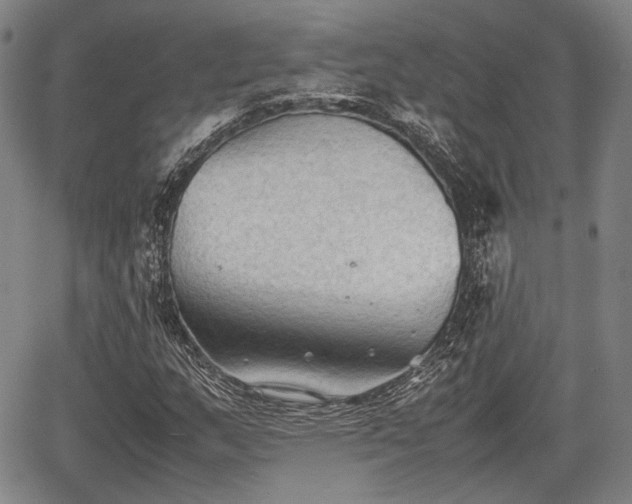 X0000067521159200604101319