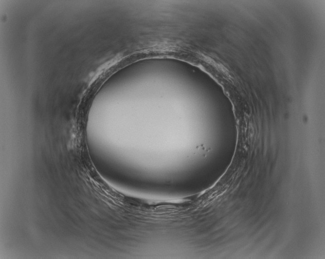 X0000067521160200604101319