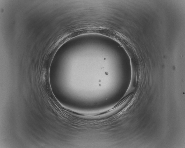 X0000067521161200604101319