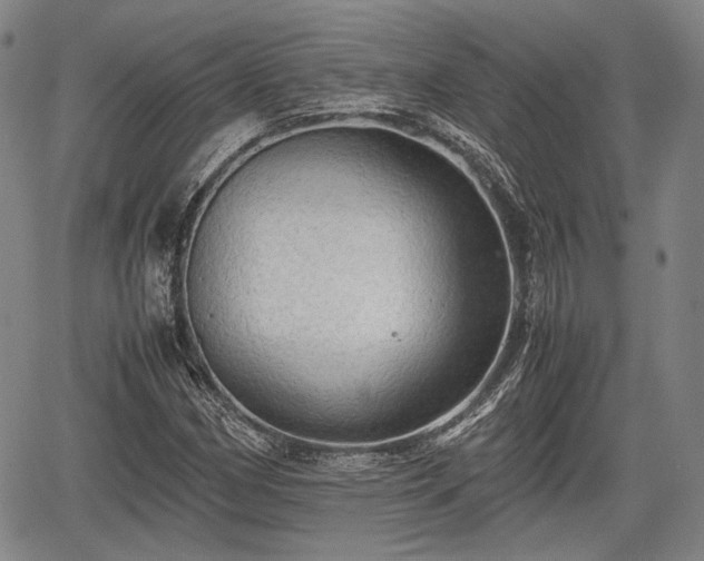 X0000067521162200604101319