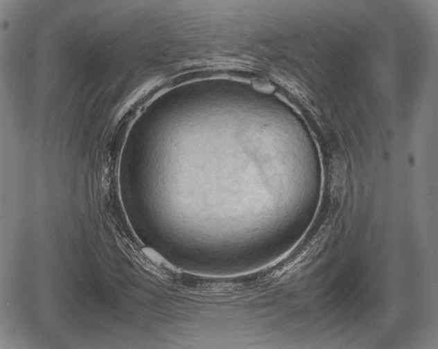 X0000067521163200604101319