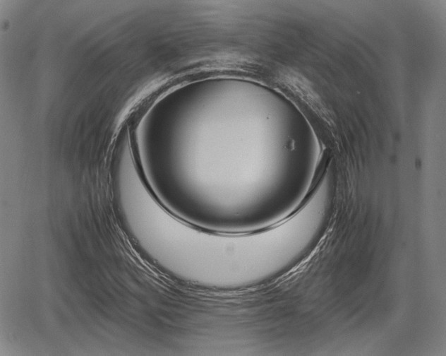 X0000067521164200604101319