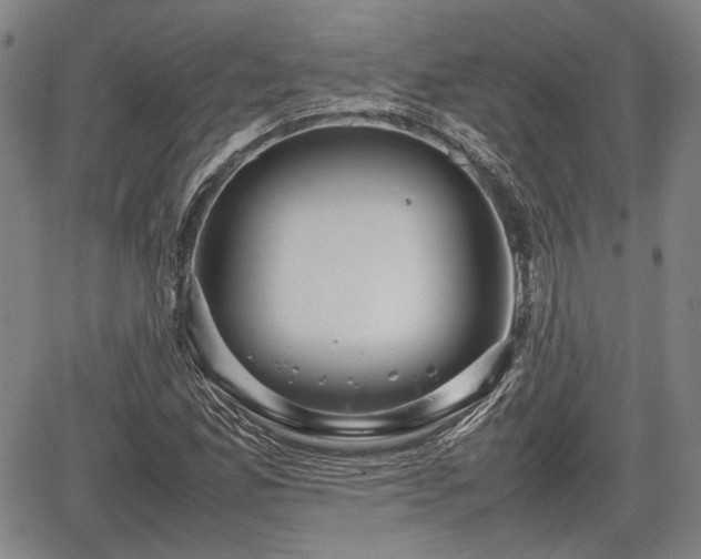 X0000067521165200604101319